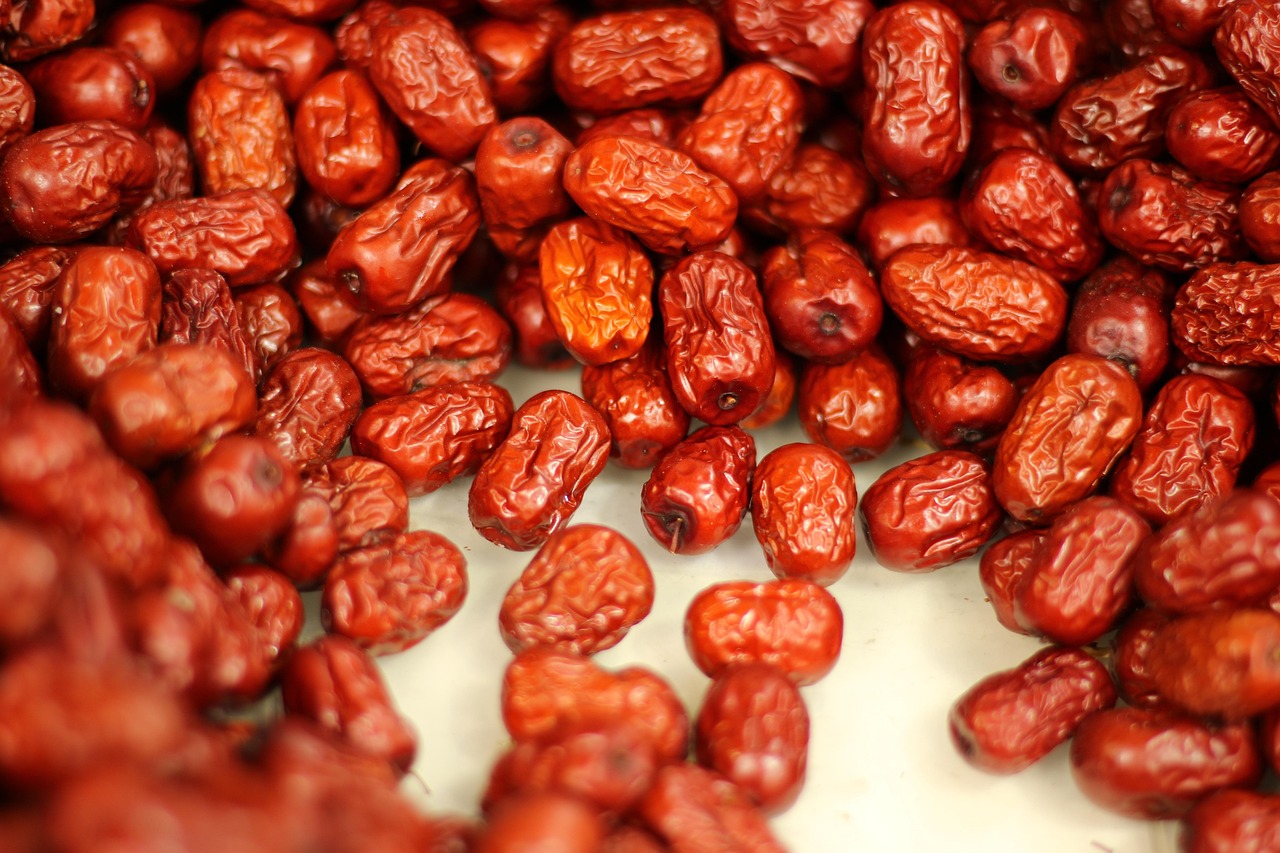 Fruit, jujube, health — Gain Foundational Skills in the Drug Development Process Through Online Study